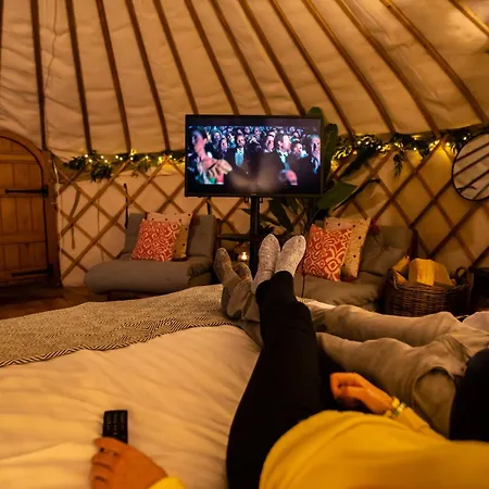 Luxury tent Yurtshire Eavestone - Beech Ripon