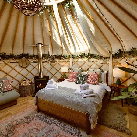 Luxury tent Yurtshire Eavestone - Beech Ripon